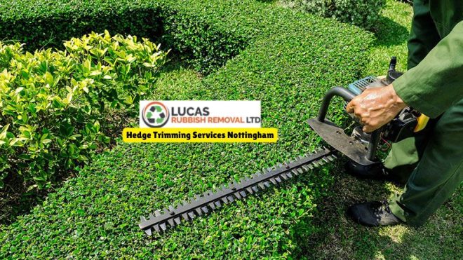 Hedge Trimming Services Nottingham