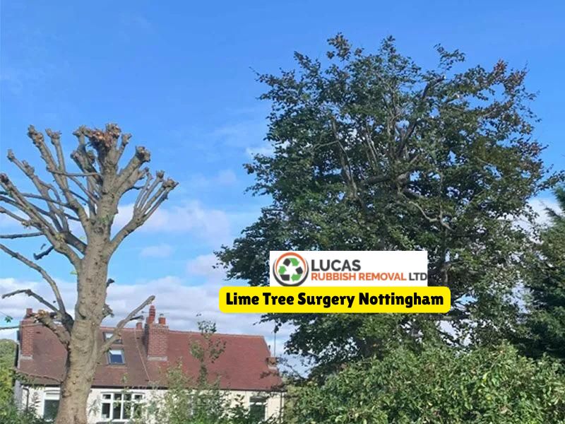 Lime Tree Surgery Nottingham