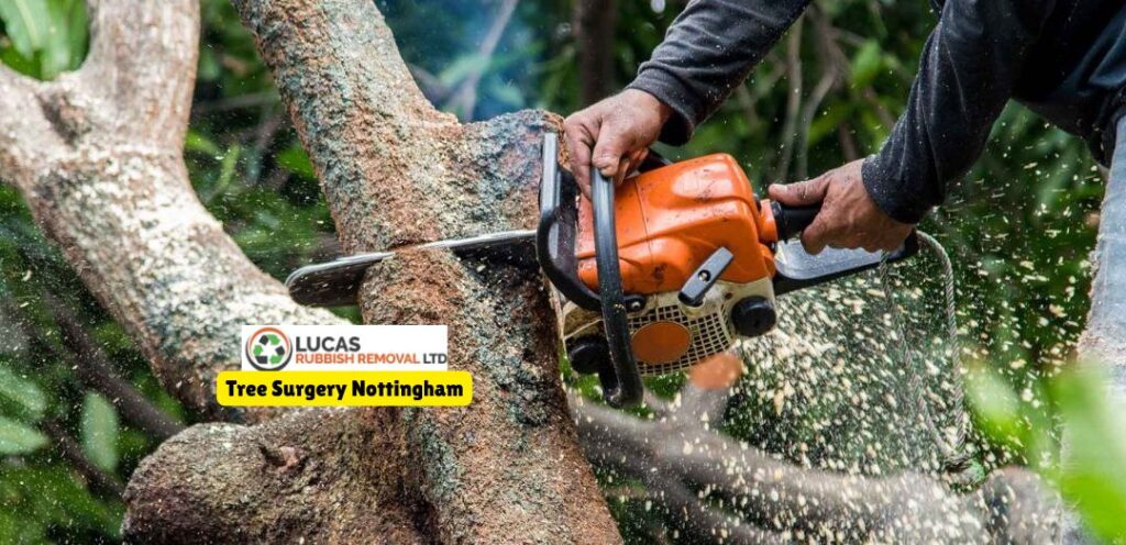 Tree Surgery Nottingham