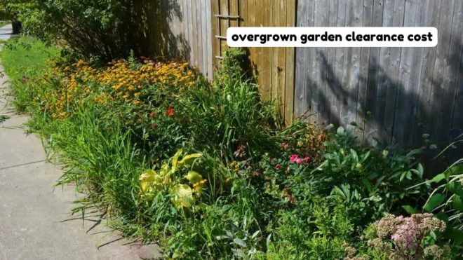 overgrown garden clearance cost